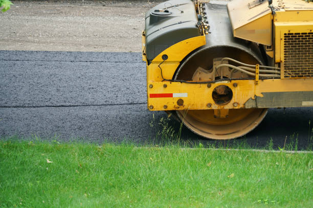Best Local Driveway Pavers  in Chelsea Cove, NY